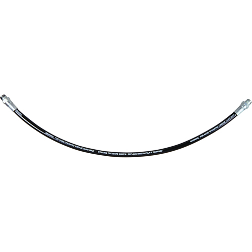 Flexible Grease Hose, 12" L WestPier