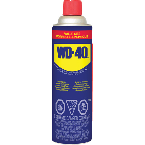 P&eacute;n&eacute;trant format &eacute;conomique, Canette a&eacute;rosol, 411 g WestPier