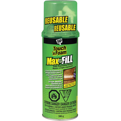 Touch 'n Foam&reg; Max Fill Triple Expanding Sealant, 340 g, Aerosol Can, Cream WestPier