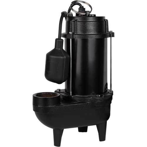 Pompe d'effluent en fonte, 4800 gal./h, 120 V, 7,8 A, 1/2 CV WestPier