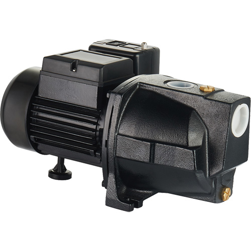 Pompe &agrave; jet en fonte &agrave; double tension pour puit peu profond, 115 V/230 V, 1100 gal./h, 1 CV WestPier
