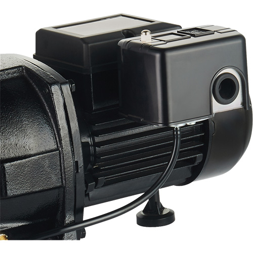 Pompe &agrave; jet en fonte &agrave; double tension pour puit peu profond, 115 V/230 V, 1100 gal./h, 1 CV WestPier