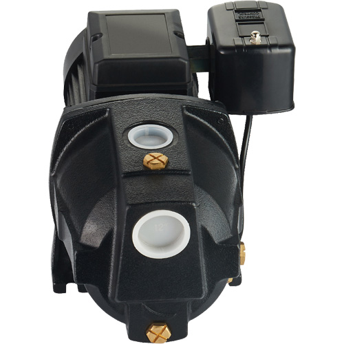 Pompe &agrave; jet en fonte &agrave; double tension pour puit peu profond, 115 V/230 V, 1100 gal./h, 1 CV WestPier