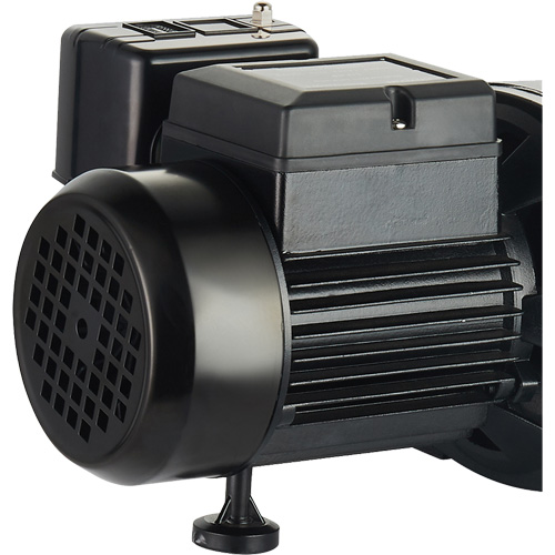Pompe &agrave; jet en fonte &agrave; double tension pour puit peu profond, 115 V/230 V, 1100 gal./h, 1 CV WestPier