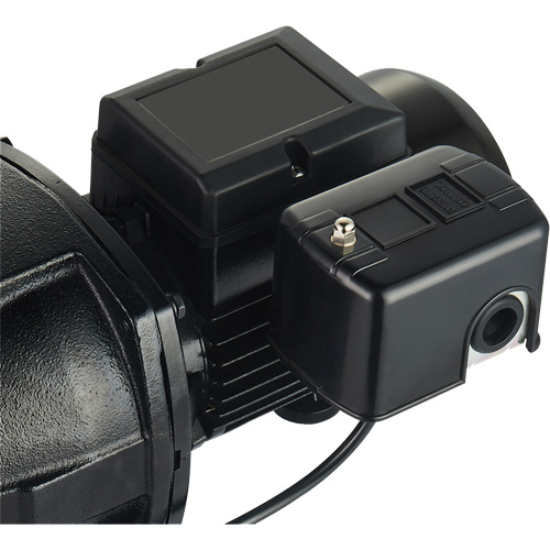 Pompe &agrave; jet en fonte &agrave; double tension pour puit peu profond, 115 V/230 V, 1100 gal./h, 1 CV WestPier