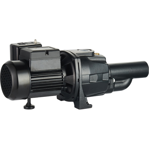 Dual Voltage Cast Iron Convertible Jet Pump, 115 V/230 V, 1400 GPH, 3/4 HP WestPier