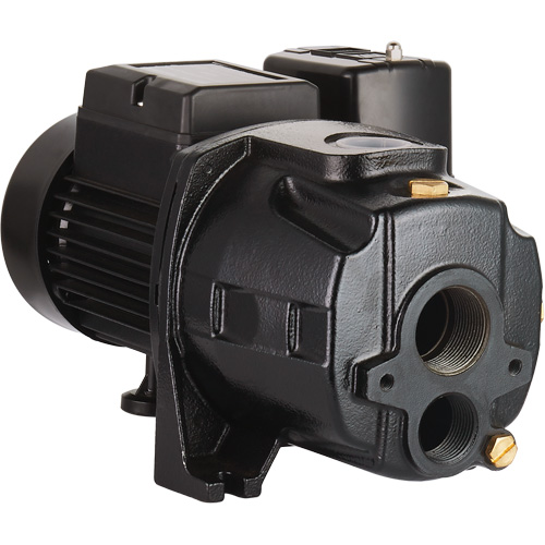 Dual Voltage Cast Iron Convertible Jet Pump, 115 V/230 V, 1400 GPH, 3/4 HP WestPier