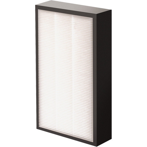 AeraMax&reg; Pro AM2 1-3/4" True HEPA Filter, Box, 7.38" W x 1.88" D x 12.88" H WestPier