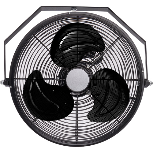 Industrial Workstation Fan, Industrial, 3 Speed, 12" Diameter WestPier