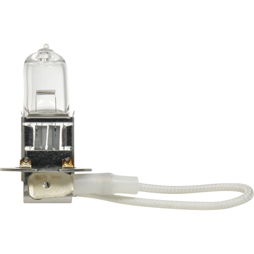 Ampoule de base pour feu avant H3, Halog&egrave;ne, 45 W, Blanc cass&eacute; WestPier