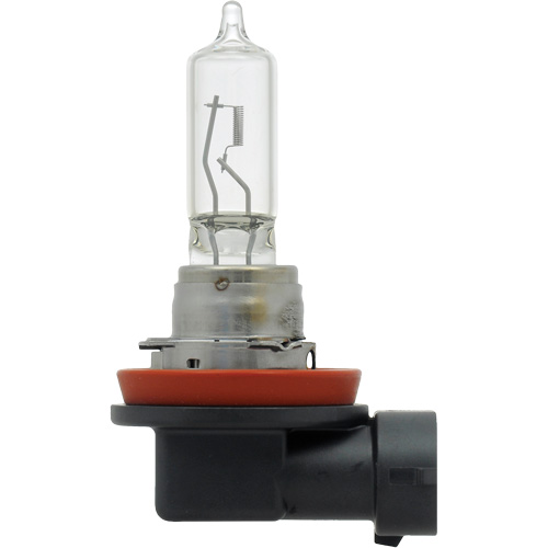 Ampoule de base pour feu avant H89, Halog&egrave;ne, 70 W, Blanc cass&eacute; WestPier