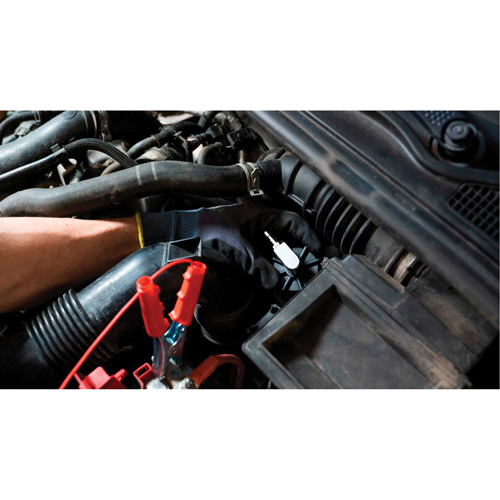 Tall Frame Brake-Pro Pressure Brake Bleeder with Adapters WestPier
