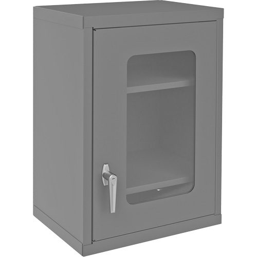 Armoire de rangement murale avec portes transparentes, 26-15/16" h x 18-1/8" la x 13-11/16" p, 2 tablettes, Acier, Gris WestPier