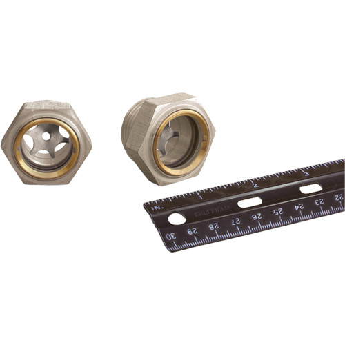 Window Sight WestPier