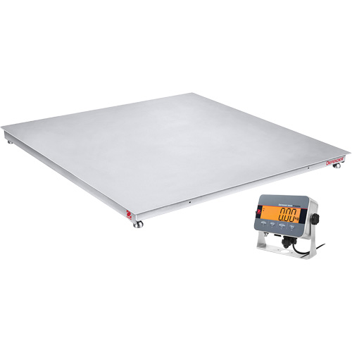 DEFENDER 3000 Floor Scale, 2500 lbs. Capacity, 48" W x 48" L WestPier