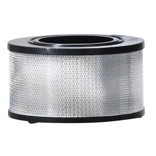 Wet/Dry Vacuum Filter, Hepa, Fits 8 - 11 US gal. WestPier