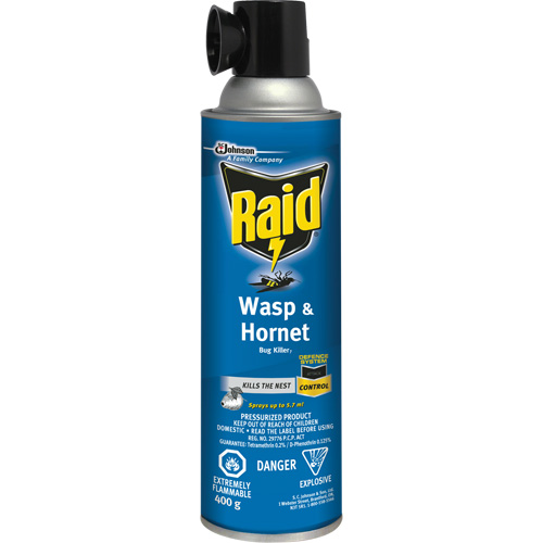 Insecticide contre les gu&ecirc;pes et les frelons Raid, 400 g, &agrave; base de solvant WestPier