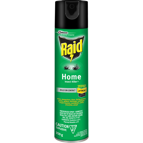 Insecticide pour insectes domestiques Raid, 350 g, &agrave; base de solvant WestPier