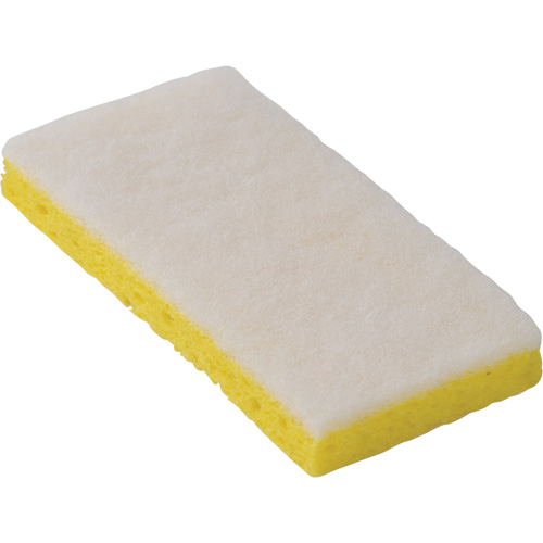 745W Light-Duty Scouring Sponges, 6-1/4" L x 3-1/5" W WestPier