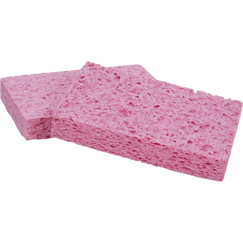 &eacute;ponge Scotch-Brite, Cellulose/Coulis/&agrave; r&eacute;curer, 3-2/3" la x 6" l WestPier
