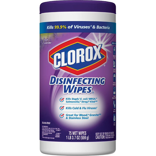 Lingettes d&eacute;sinfectantes, 75 lingettes WestPier