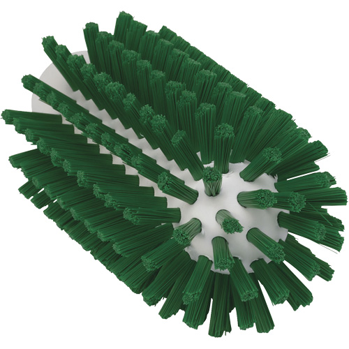 Brosse de 2,5", Soies Ferme, Longueur de 5-3/5", Vert WestPier