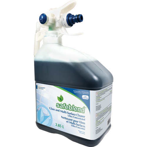 Nettoyant concentr&eacute; multisurfaces et pour le verre, 2,85 l, Bouteille WestPier