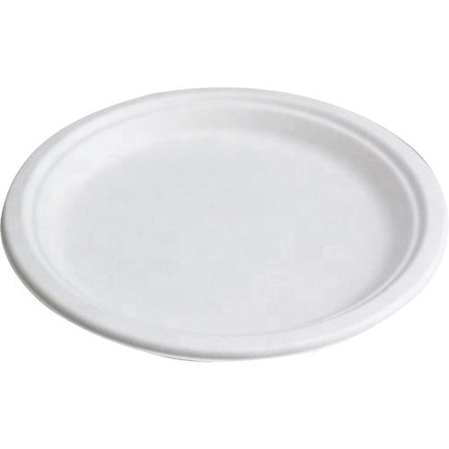 Compostable Plates WestPier