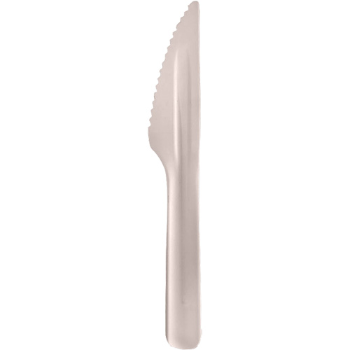Bagasse Compostable Knives WestPier