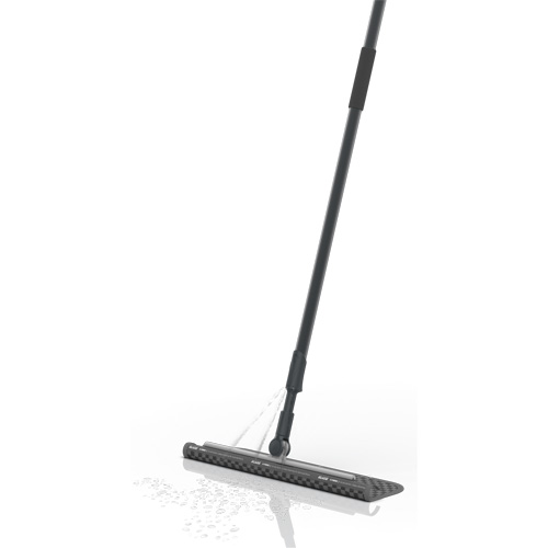 Blade Wet & Dry Spray Mop System, Cleaner WestPier
