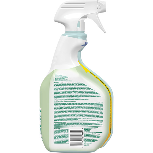 Nettoyant d&eacute;sinfectant CloroxPro Clorox EcoClean, 946 ml, Bouteille &agrave; g&acirc;chette WestPier