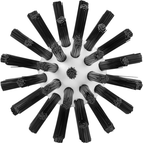 Cleaning Brush, Stiff Bristles, 5-7/10" Long, Black WestPier