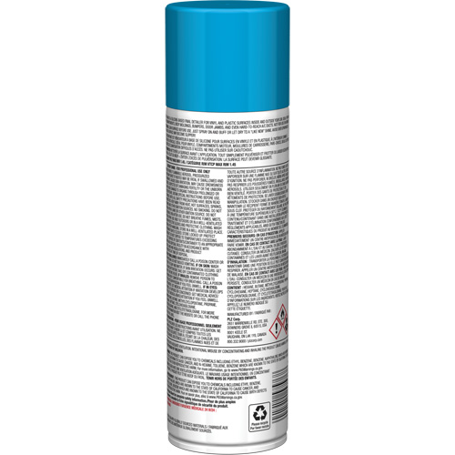 Brillant instantan&eacute; Pro Line pour surfaces en plastique, 11 oz, Canette a&eacute;rosol WestPier