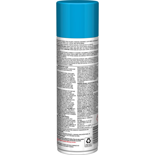 Pro Line Crazy Clean&reg; All Purpose Cleaner, 19 oz., Aerosol Can WestPier