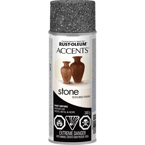Accents&reg; Stone Creations Spray Paint, Aerosol Can, Grey Stone WestPier
