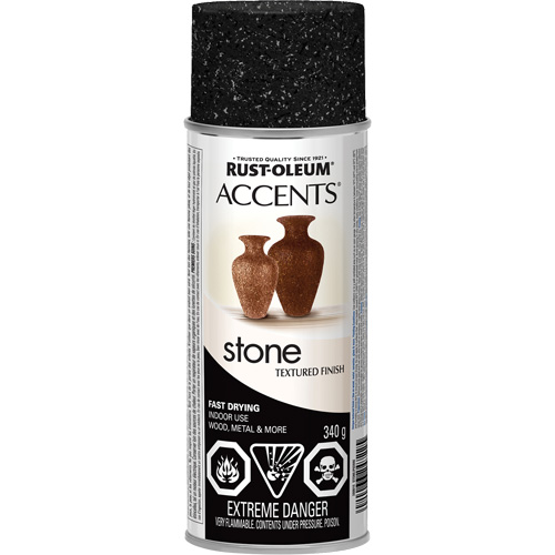 Accents&reg; Stone Creations Spray Paint, Aerosol Can, Black Granite WestPier
