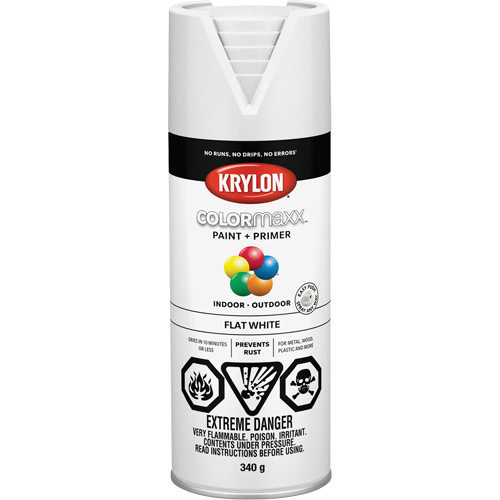 COLORmaxx Paint + Primer, White, Very Flat, 12 oz., Aerosol Can WestPier