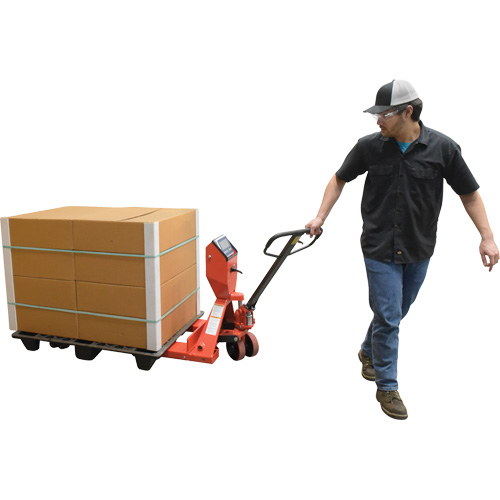 Transpalette, 48" lo x 27,5" la, Capacit&eacute; de 5000 lb WestPier