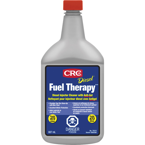Nettoyant de syst&egrave;me d'injection diesel avec antigel - Diesel Fuel Therapy WestPier