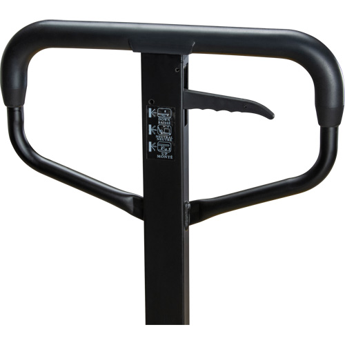 Transpalette &agrave; roues en acier, Acier, 48" lo x 27" la, Capacit&eacute; 5500 lb WestPier