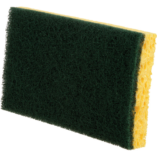 Utility Sponges, Cellulose, 6" W x 3-1/2" L WestPier