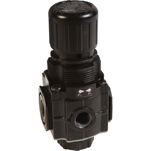 Collecteur de r&eacute;gulateur de s&eacute;rie 1, 1/4" NPT, PSI max. de 150 psi, Standard WestPier