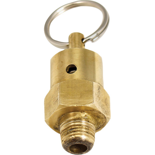 Viton&reg; Pressure Relief Valve WestPier