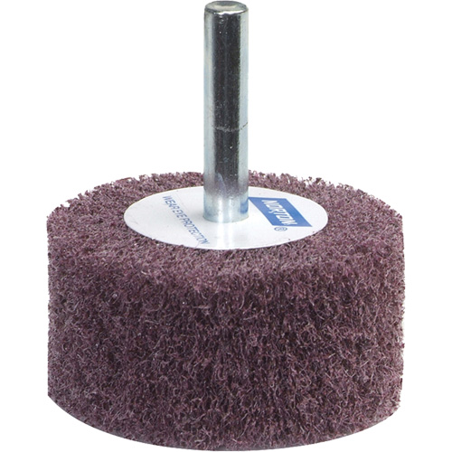 Meule &agrave; lamelles abrasives Bear-Tex WestPier