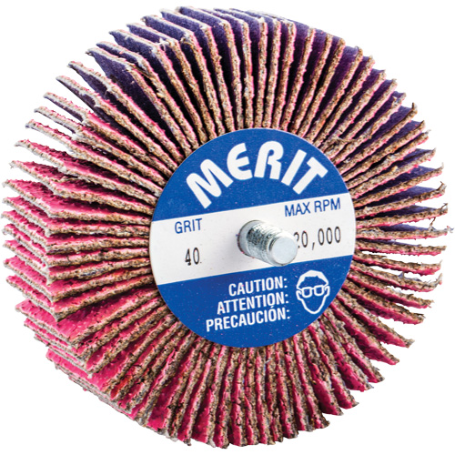 Mini-meule &agrave; lamelles filet&eacute;es, C&eacute;ramique d'alumine, Grain 40, 3" x 1" x 1/4"-20 WestPier