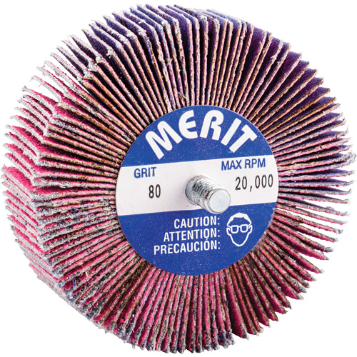 Threaded Mini Flap Wheel, Ceramic Alumina, 80 Grit, 3" x 1" x 1/4"-20 WestPier