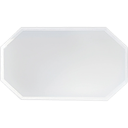 Replacement Plastic Shield for Suction & Pressure Cabinets WestPier