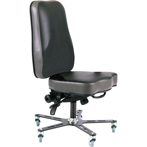 Synergo I Ergonomic Chair, Mobile WestPier