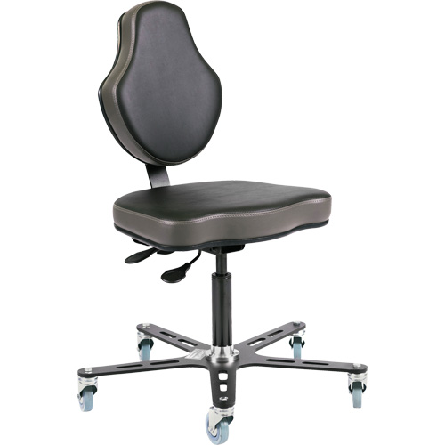 Vega Multi-Tilt Ergonomic Chair, Mobile, Adjustable Height WestPier
