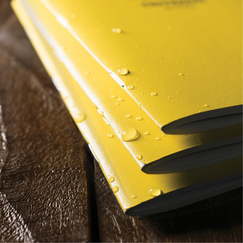 Carnet de notes, Couverture souple, Jaune, 48 Pages, 4-5/8" , 7"  WestPier